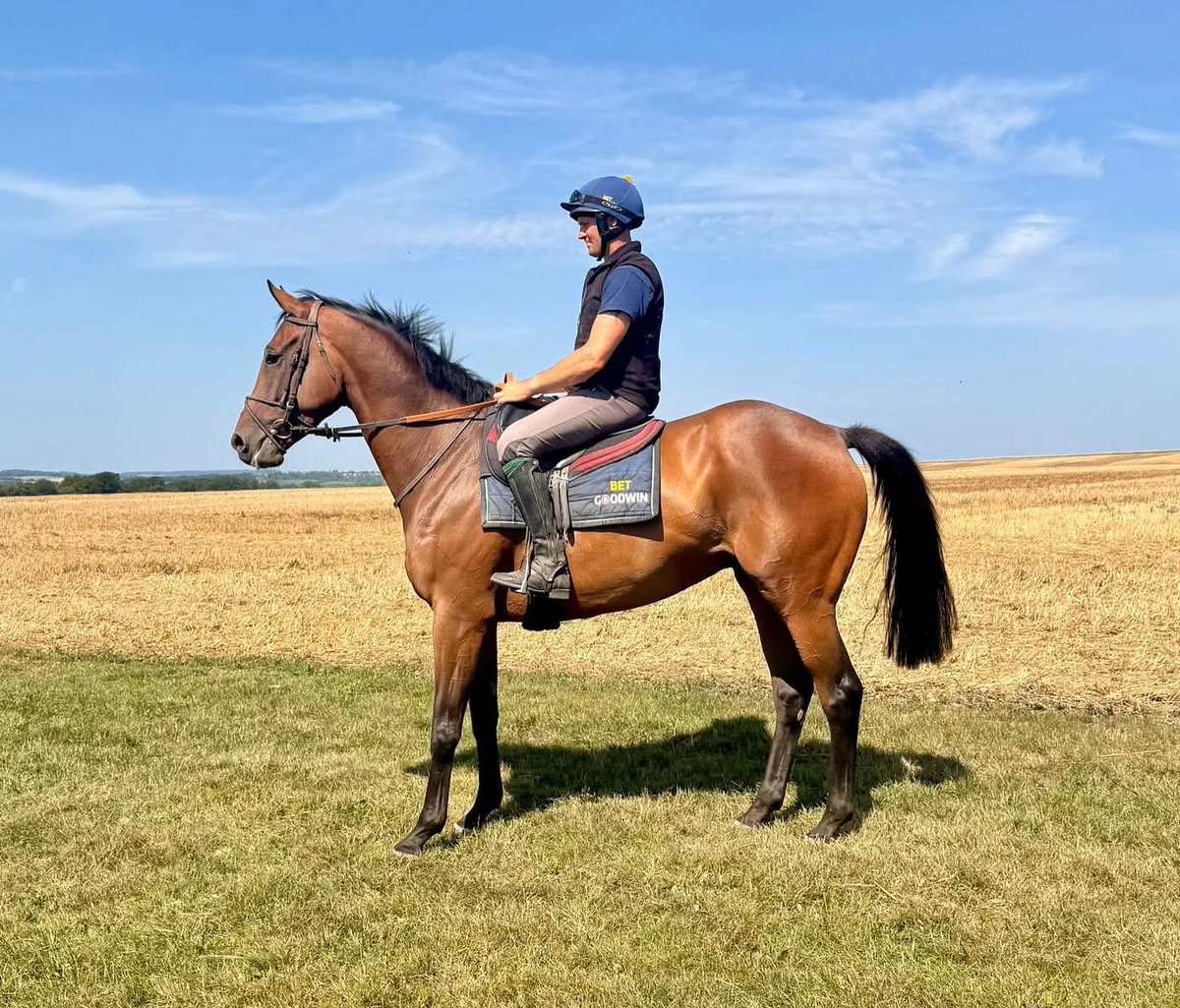 Morestead Racing Syndicates tweet media