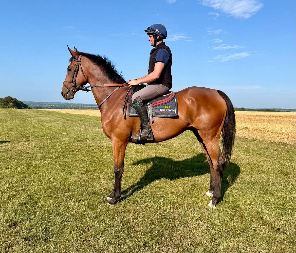 Morestead Racing Syndicates tweet media