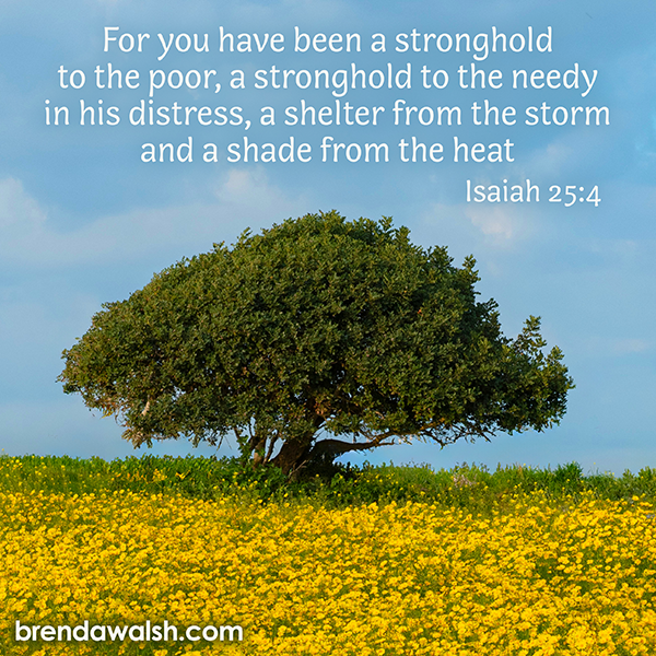 brendakwalsh's tweet image. Today's Daily Scripture Picture: Voice for the Vulnerable 
Isaiah 25:4 – “For you have been a stronghold to the poor, a stronghold to the needy in his distress, a shelter from the storm and a shade from the heat.”

#scripture #bibleverse #vulnerable #poor #needy #protection