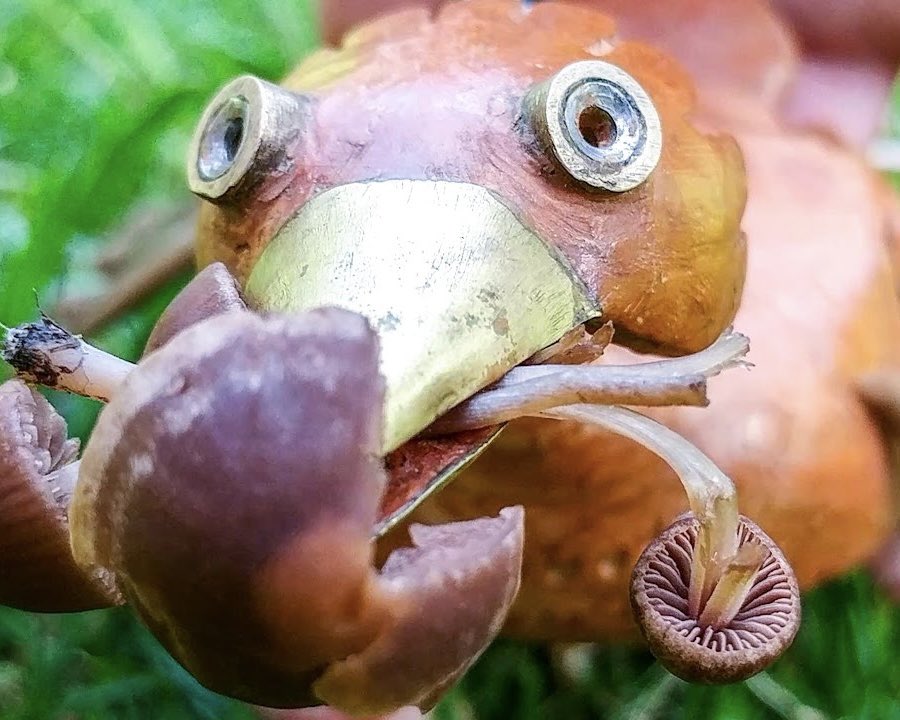 daily puppet tweet media