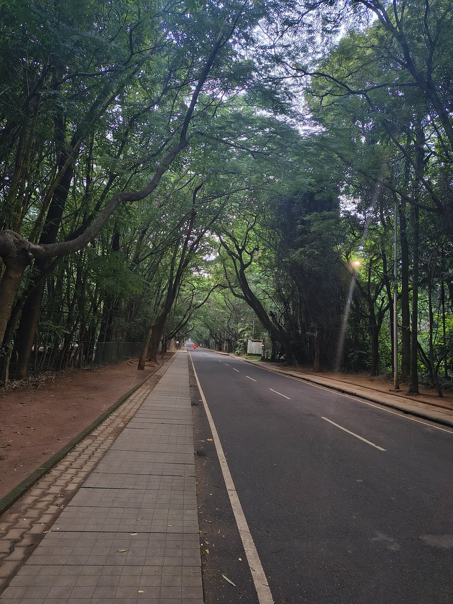 Sci_Lipi's tweet image. Genomics India Conference starts today at lush green IISc campus. With so much potential in the Indian genomics sector, this conference shines by curating a stellar, cross-disciplinary line up. 

If you are around please do come for my talk at 2 pm!