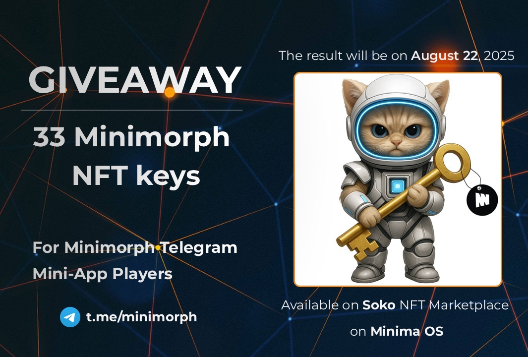 MINIMORPH tweet media