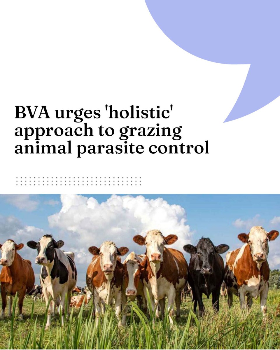 BVA urges 'holistic' approach to grazing animal parasite control

 vettimes.com/news/vet-nursi…
