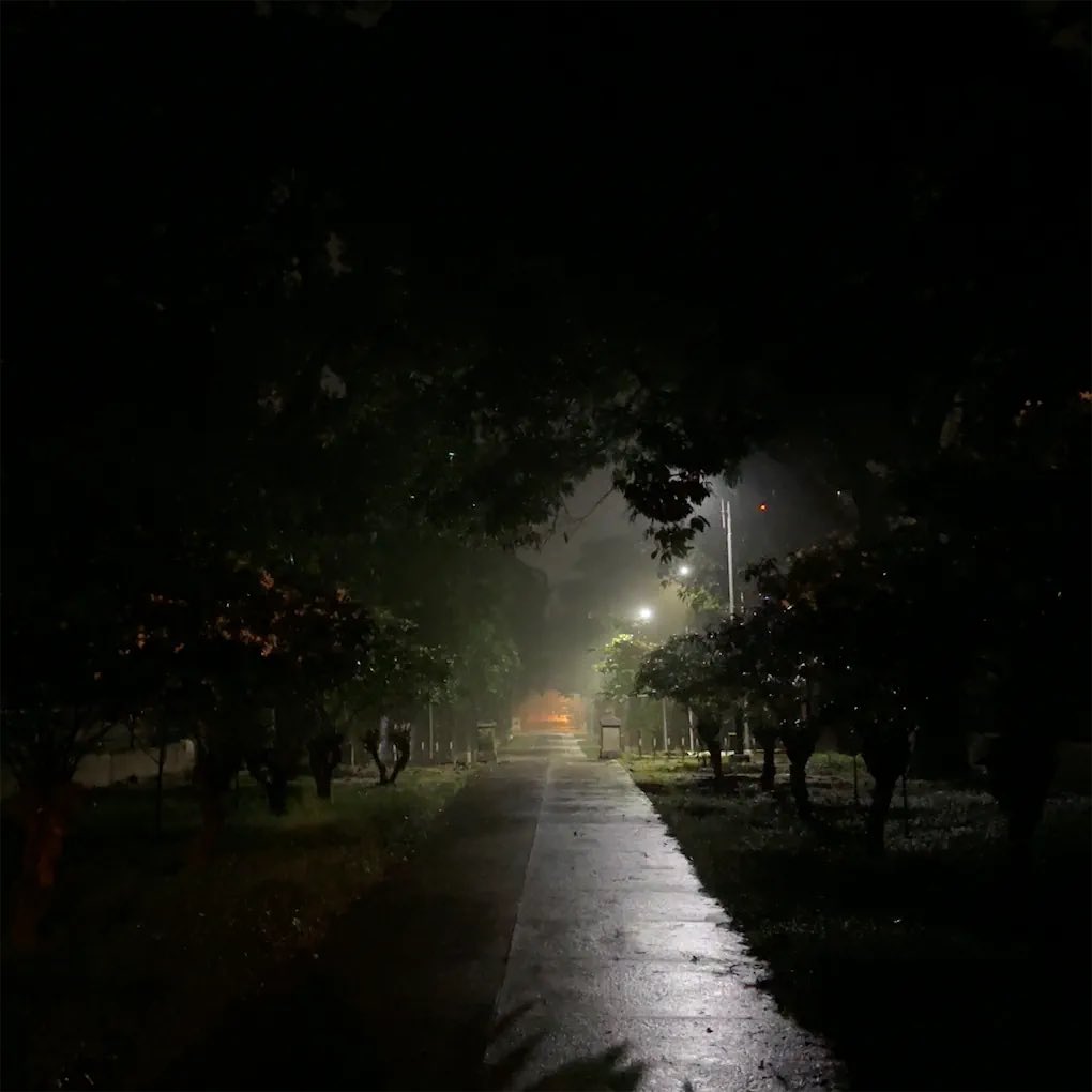 Trizavarkey's tweet photo. The cohesive effervescence woven from dewy morning bliss, to the stark somber shadows leaves a pining, bittersweet void within the soul, enthralling one to unravel the deep intricacies of capricious emotions!! #somewherehidden #somewherelost https://t.co/rOhz0SqYgY