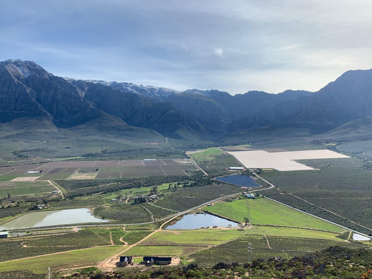 De Witt Kamfer tweet media