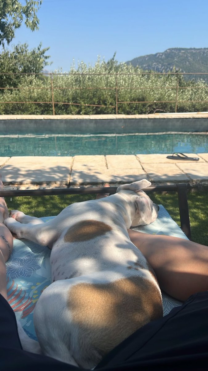 Someone really loves the outdoors...

We are just lounging around