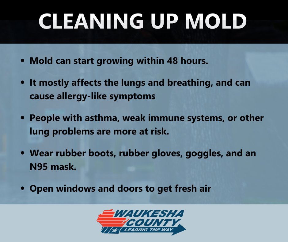 After the floodwaters recede, your safety and health come first! Mold can begin to grow fast after floods, even in hidden spots. Protect your home and family—it's not just what you see. Find out vital cleanup tips and how to stay mold-safe in our graphic below!