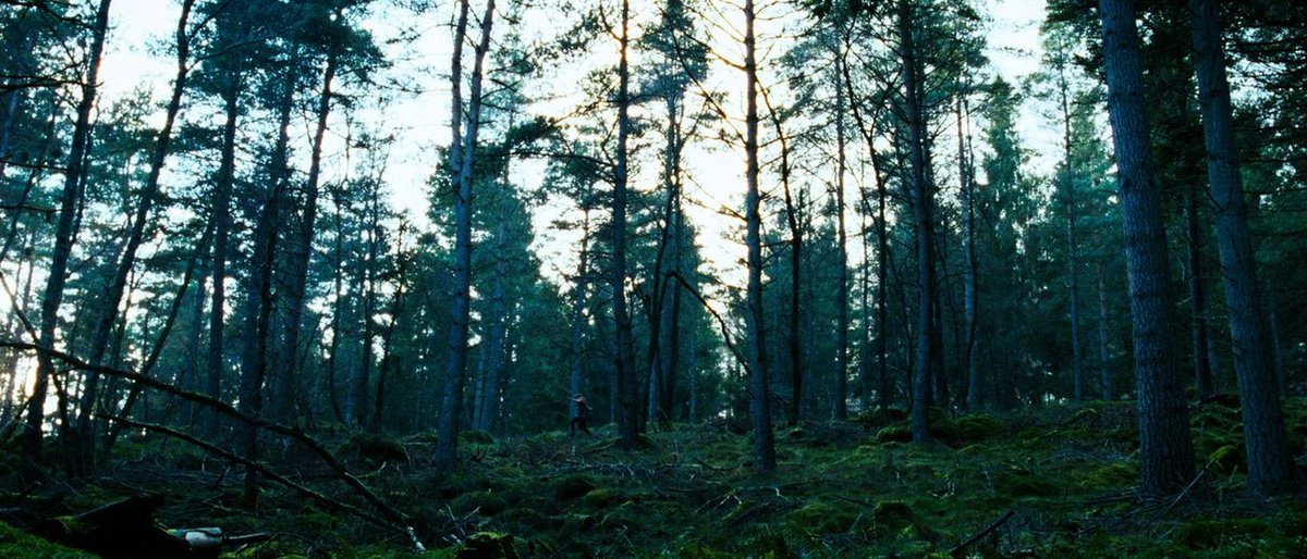 the descent (2005) dir. neil marshall