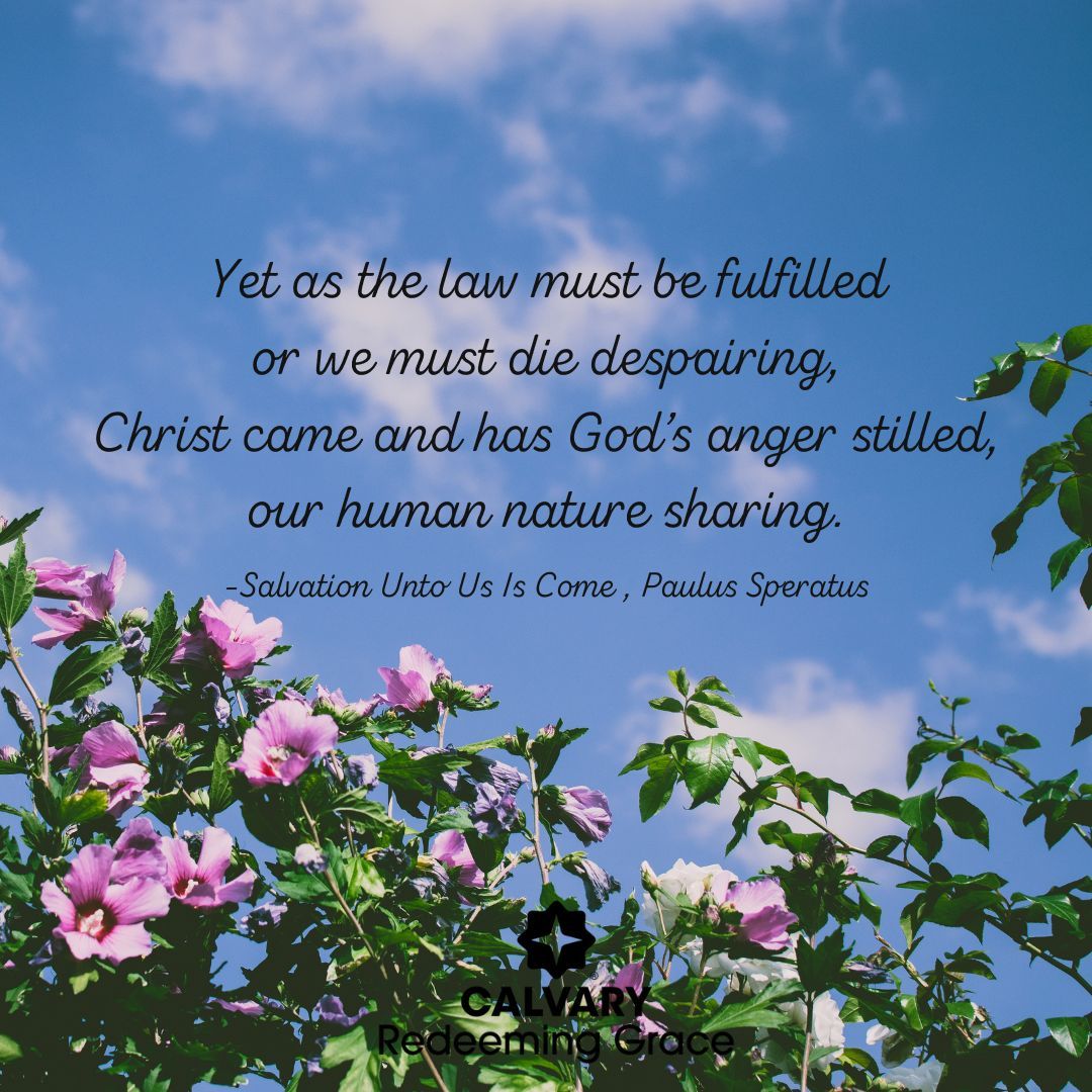 RGChurch_CO's tweet photo. 3 For God has done what the law, weakened by the flesh, could not do. By sending his own Son in the likeness of sinful flesh and for sin, he condemned sin in the flesh, 4 in order that the righteous requirement of the law might be fulfilled in us
Romans 8:3-4a https://t.co/rVfRI6yXD3