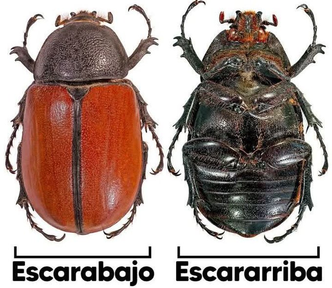 GyK4Op6WMAANTJY?format=jpg&name=small