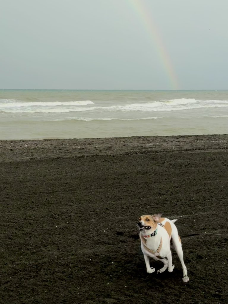 Лцлуша очень любит есть песок