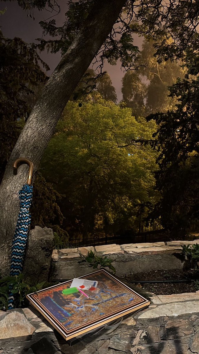 Salha Alshehri💫 tweet media