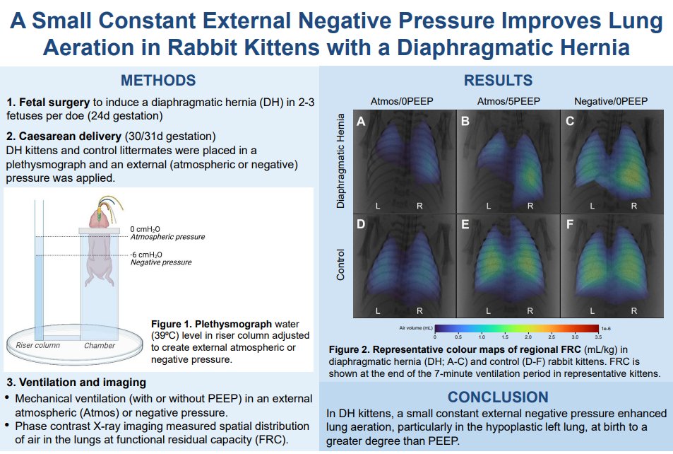 japplphysiol's tweet image. Teams from @RitchieCentre and @MonashUni bring you today's great #ArticleinPress! A Small Constant External Negative Pressure Improves #Lung Aeration at Birth in Rabbit Kittens with a Diaphragmatic #Hernia (Paige Riddington et al.):

ow.ly/oePr50WEGs8