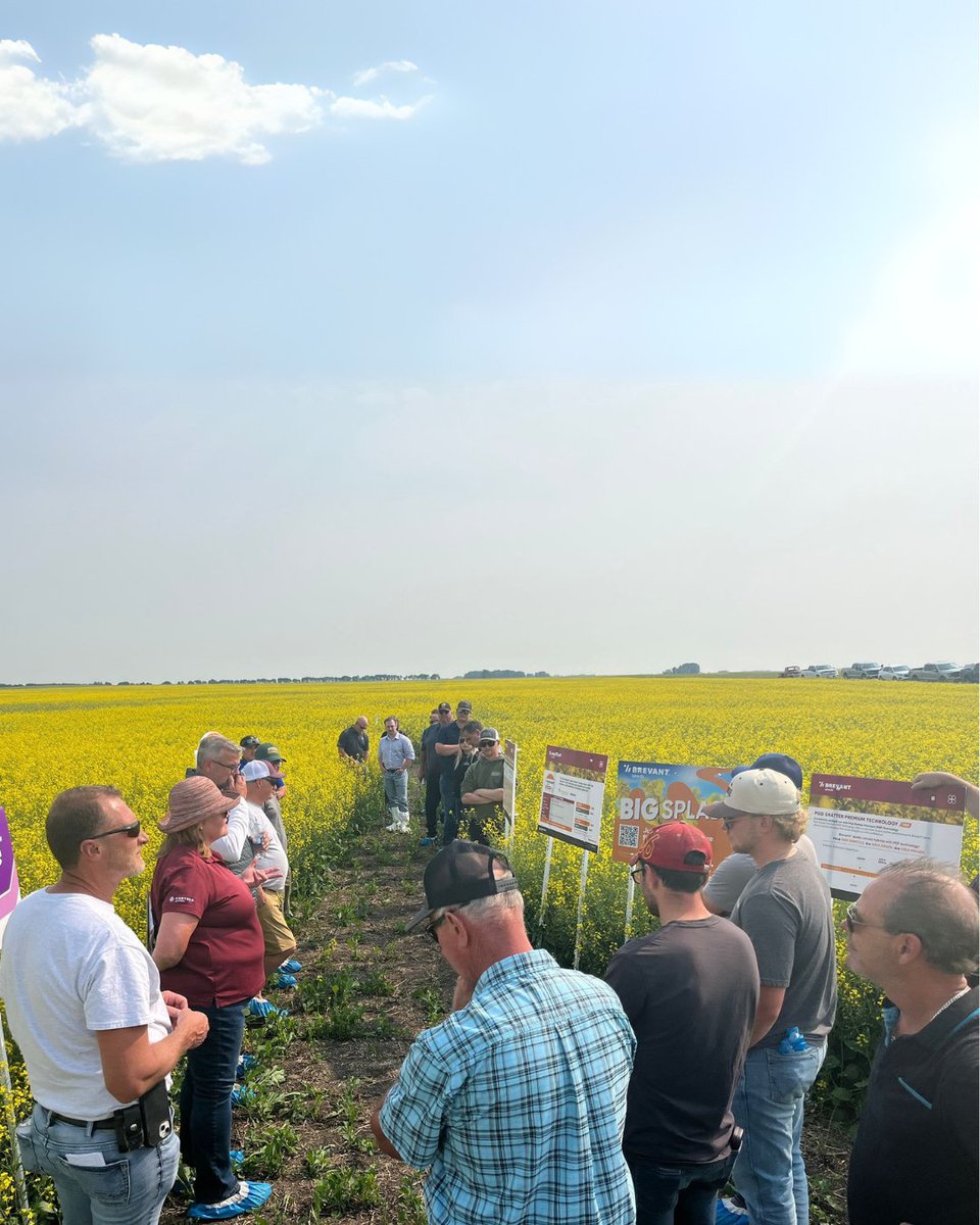 Nothing beats a day of great weather, great company, and great information!

Thank you to our customers who came out for our tour with Brevant®/Nexera® seeds, Bunge, PepsiCo, and FritoLay.

#fieldtour #BrevantCA #saskag