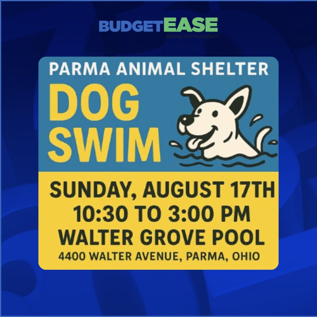 BudgetEaseBiz's tweet image. Our client Parma Animal Shelter is hosting Dog Swim Day this Sunday Aug 17,10:30–3, Walter Grove Pool, Parma

#CommunityEvent #ClientLove #OutsourceBookkeepingServices #VirtualBookkeeper #QuickbooksSetupServices #BookkeepingCatchUpServices