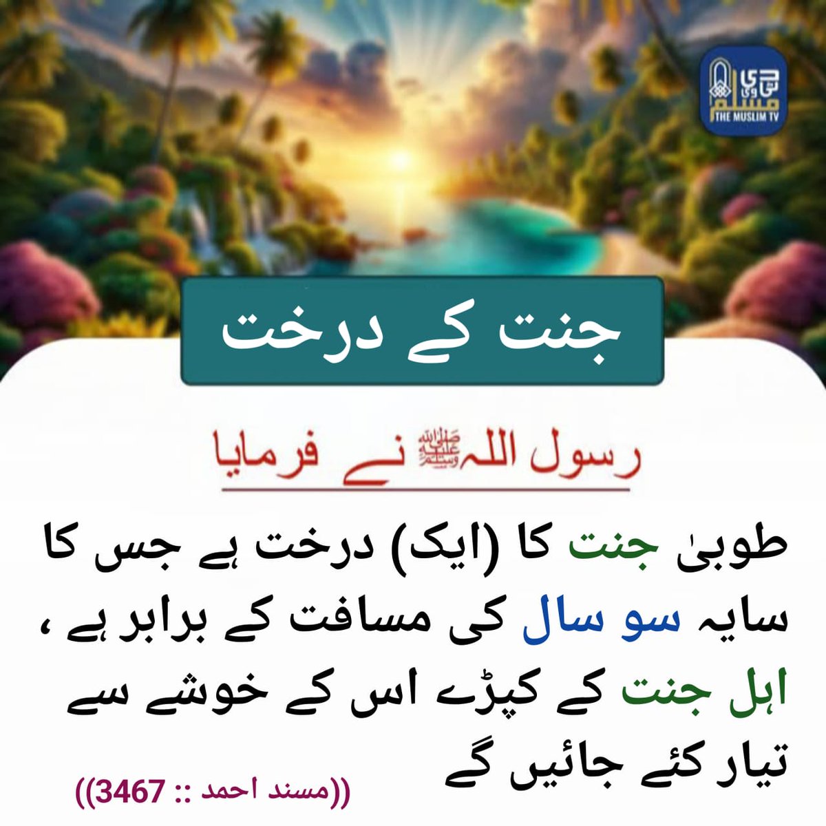 جنت کے درخت، یقیناً ہمارے حکمرانوں کا ان سے کوئی تعلق نہ ہو گا۔
#نمود_عشق