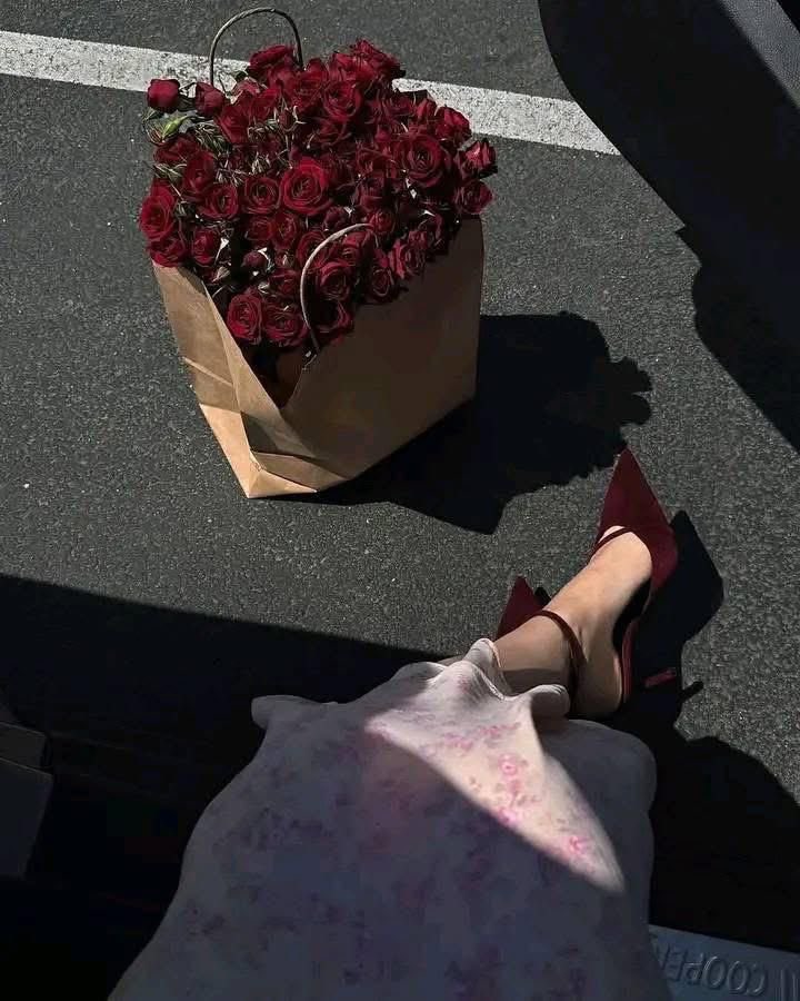 Az6521's tweet image. حب البنات وحب حرش العراقيب
غـريزةً في كل ... راعي ( رحـااابه )

#مساء_الخير