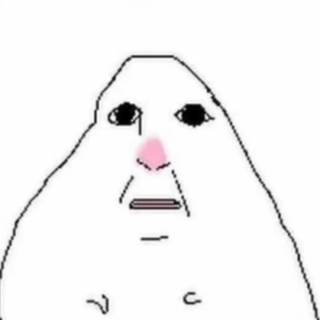 sunny ᰔᩚ tweet media