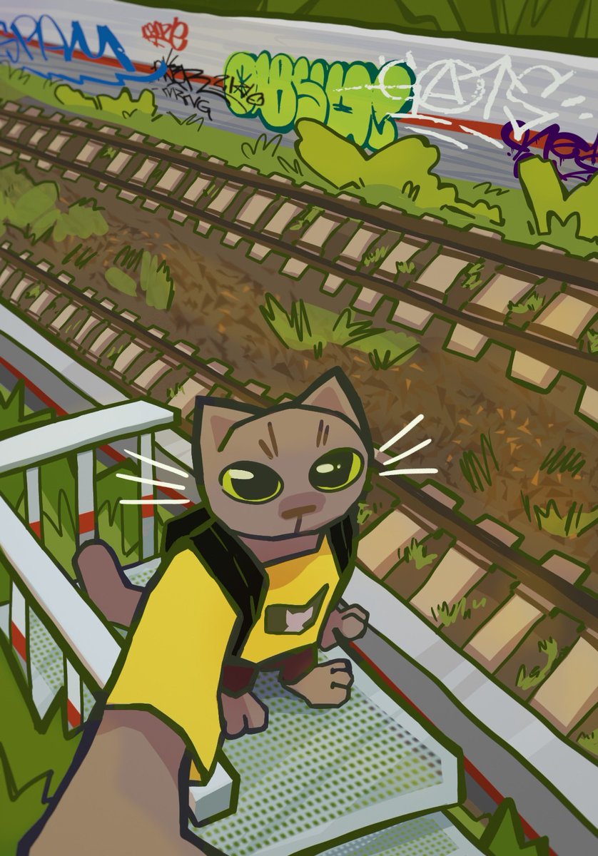 кот гуляющий вдоль железных дорог