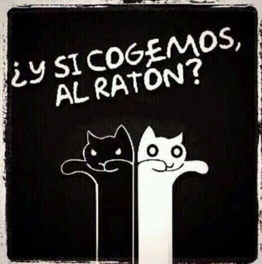 mokachispas's tweet image. Más tardecito joven porfavor 😅