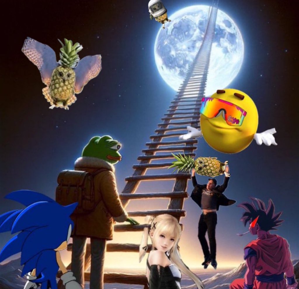 Memecoin supercycle resuming 

Pineowl to the moon etc.