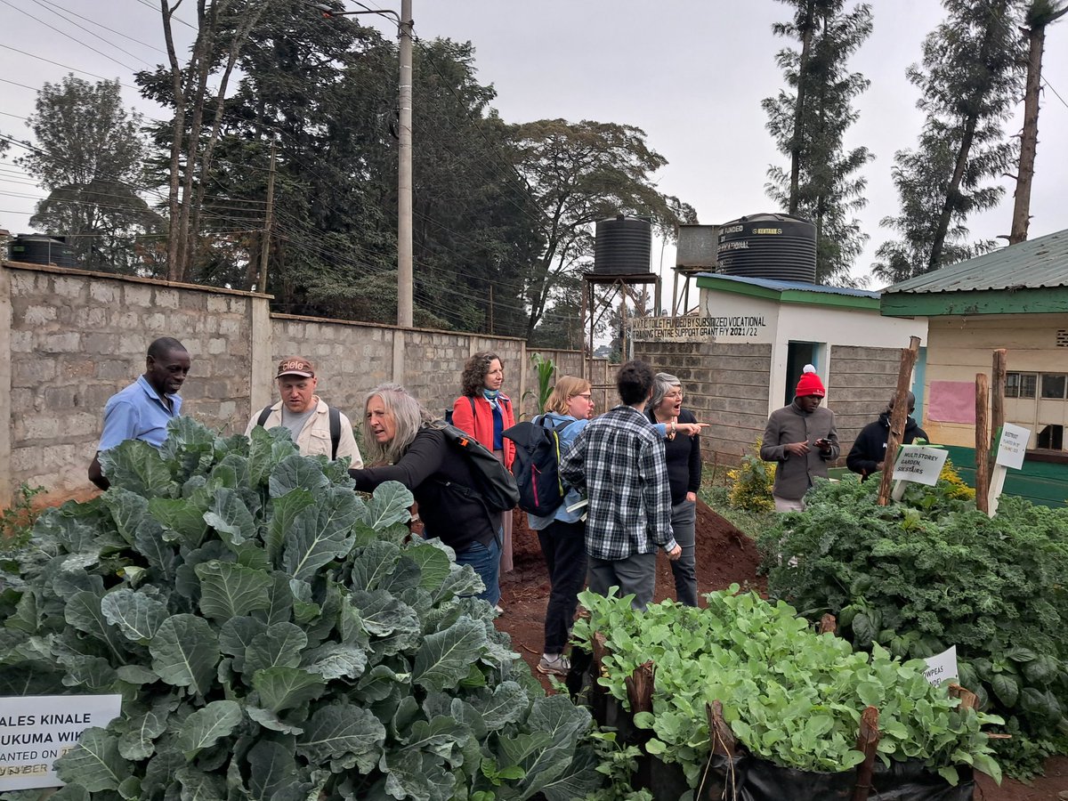 lawyer wa Mtaa☭🇵🇸 (@davistafari01) on Twitter photo Follow <a href="/MazInstitute/">Mazingira Institute</a>.In the Struggle for food sovereignty. Mazingira Institute is doing a good job in organising and Empowering young women and Men in Urban agriculture and food system Value-addition. Follow <a href="/MazInstitute/">Mazingira Institute</a>.In the Struggle for food sovereignty. Mazingira Institute is doing a good job in organising and Empowering young women and Men in Urban agriculture and food system Value-addition.