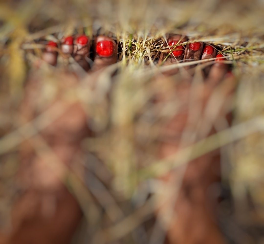 SultryReign's tweet photo. Just a glimpse… red heat, hidden in the grass.
You want the rest? Earn it. 💋👣

🔗 DM for link https://t.co/8wg8MpxehG