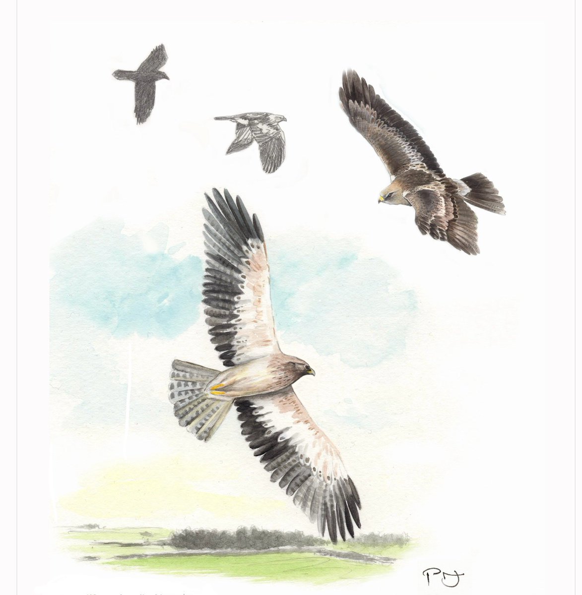 Phil Jones tweet media