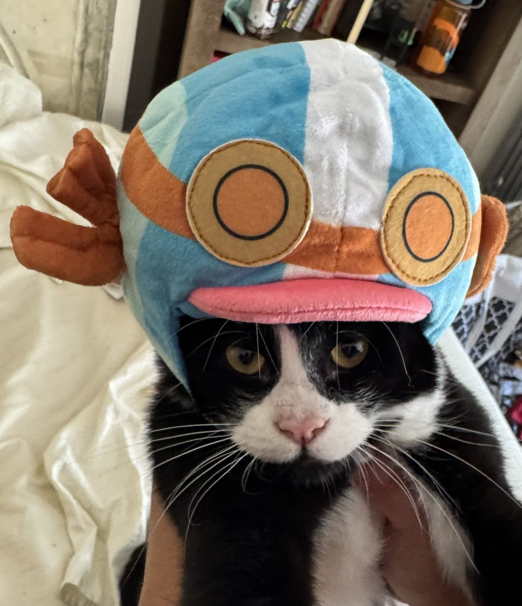 Conner and Megan in full One Piece style!