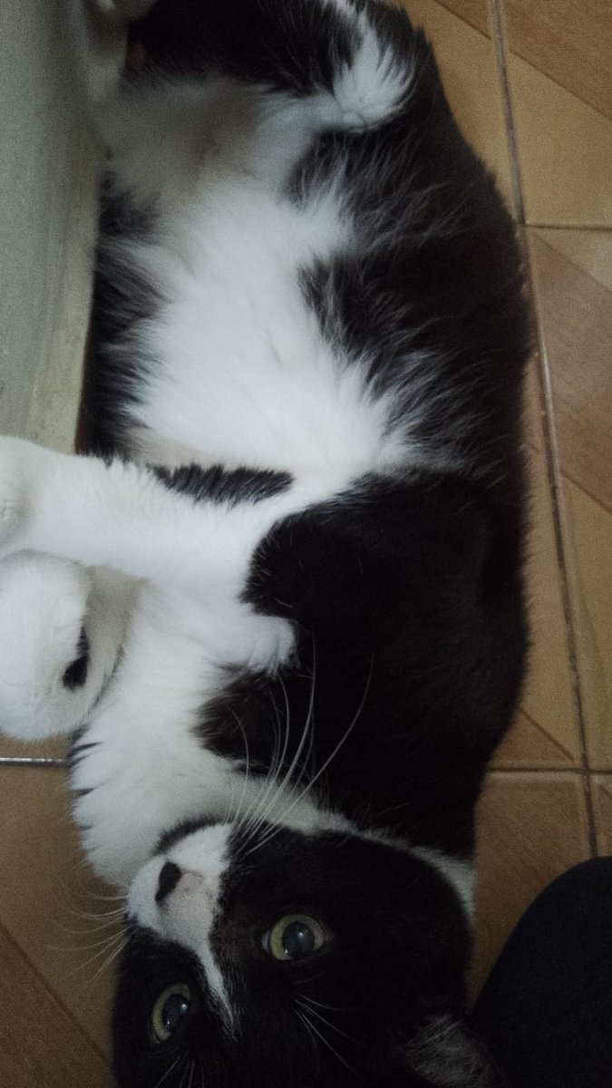 larining - dwy era ☭ tweet media