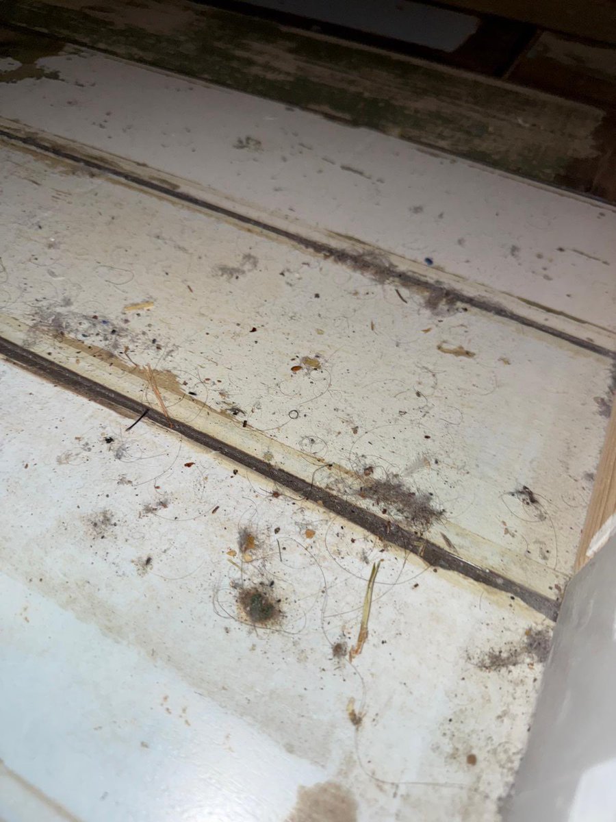 Livebetherapy's tweet photo. @Airbnb We had to vacate our booking on 9 Aug after finding hair, debris, stains &amp; live bugs in the bed. Reported within hours &amp; left the same night. Booking still shows active &amp; no refund yet. We meet all your cleanliness refund policy terms - please resolve this. https://t.co/W16fx6Ahun