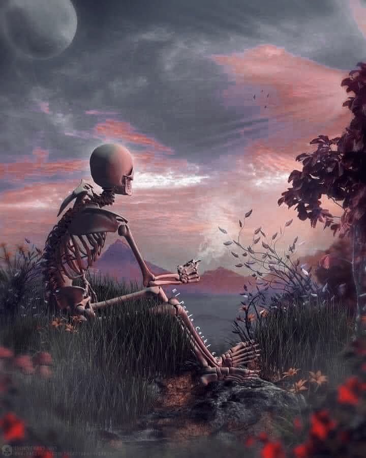 No estoy triste, ni feliz, solamente siento unas ganas de desaparecer del mundo por un rato.