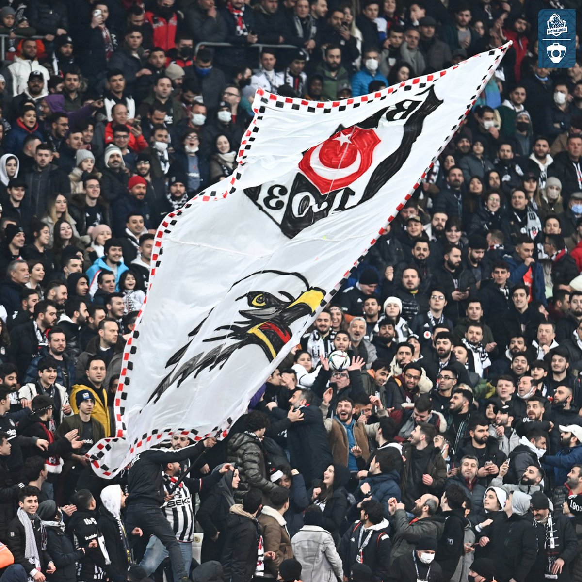 𝗣𝗟𝗨𝗦 𝗗𝗘 𝟱 𝗠𝗜𝗟𝗟𝗜𝗢𝗡𝗦 𝗗𝗘 𝗖𝗢𝗠𝗠𝗘𝗡𝗧𝗔𝗜𝗥𝗘𝗦 : les supporters de Besiktas 🇹🇷 ont envahi la dernière publication de Jadon Sancho pour lui dire de venir ! 😱😭

La communauté turque dans le foot sur les réseaux c'est une DINGUERIE absolue !

(IG : sancho)