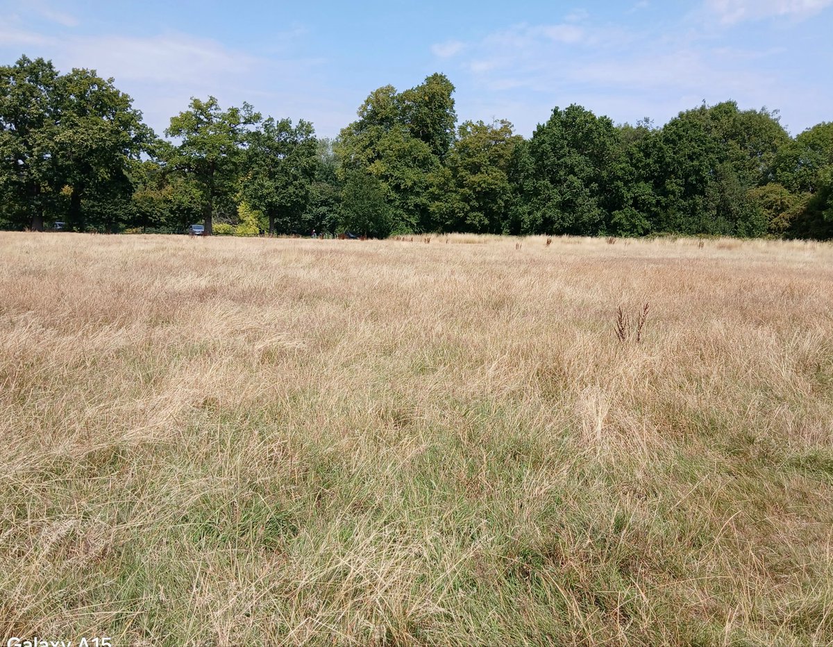 Paul Fulford tweet media