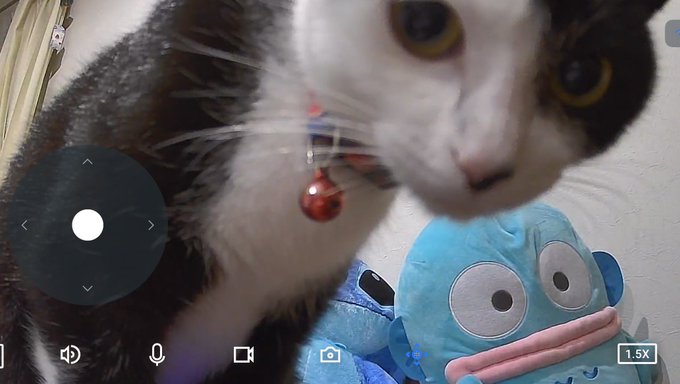 Twitterのコスプレ画像17