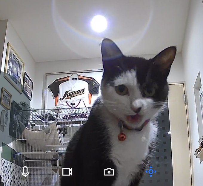 Twitterのコスプレ画像18