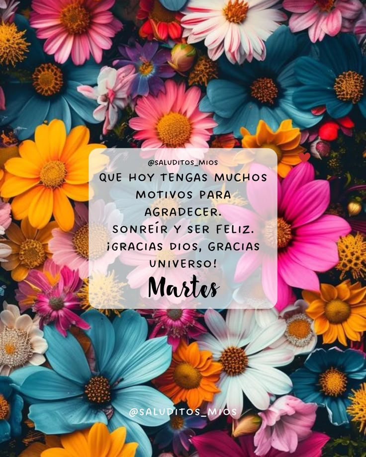 Motivosentuvida's tweet photo. ✨Que tengas un excelente Martes! ✨
#FelizMartesParaTodos 
#BuenosDías 
#FraseDelDía 
#FrasesParaElAlma https://t.co/7GdocLki0O