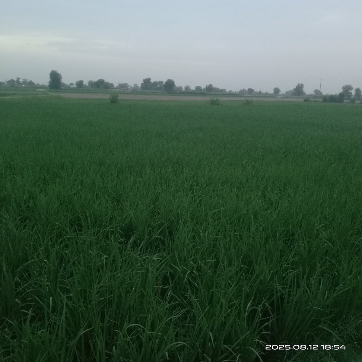 Beautiful weather ☁️☁️☁️