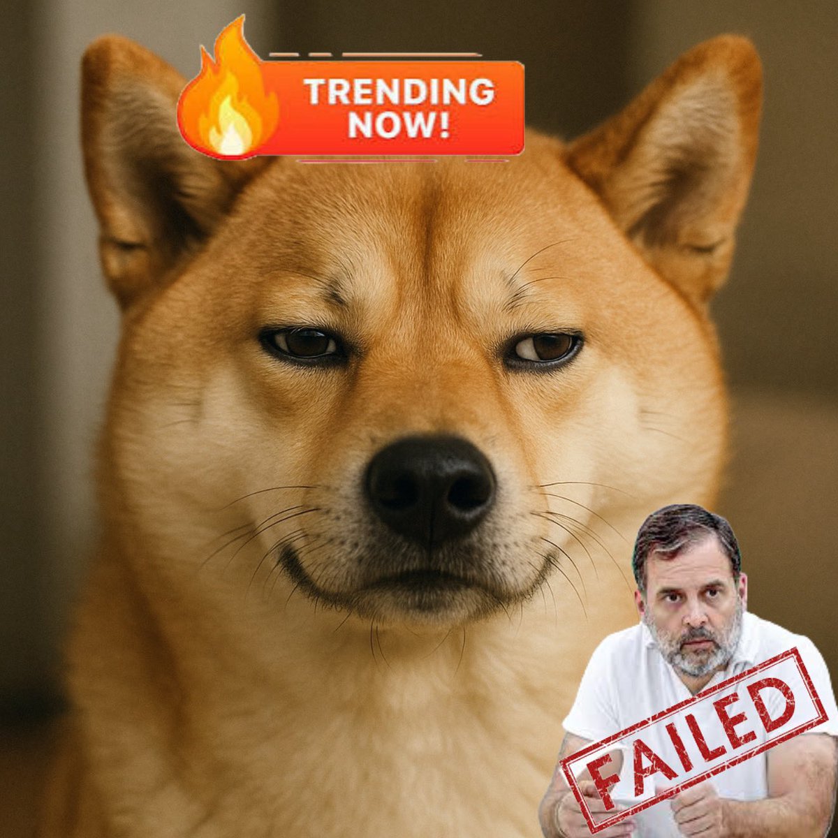 HemanNamo's tweet photo. @bharatjodo #SaveTheDog is people movement. https://t.co/GA3r7ryFoa