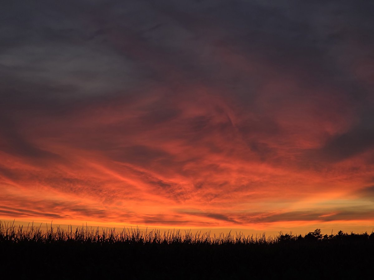 EB_Schmidt's tweet photo. This was last night. So beautiful! 💛🧡♥️ https://t.co/pWfv06Qcyp