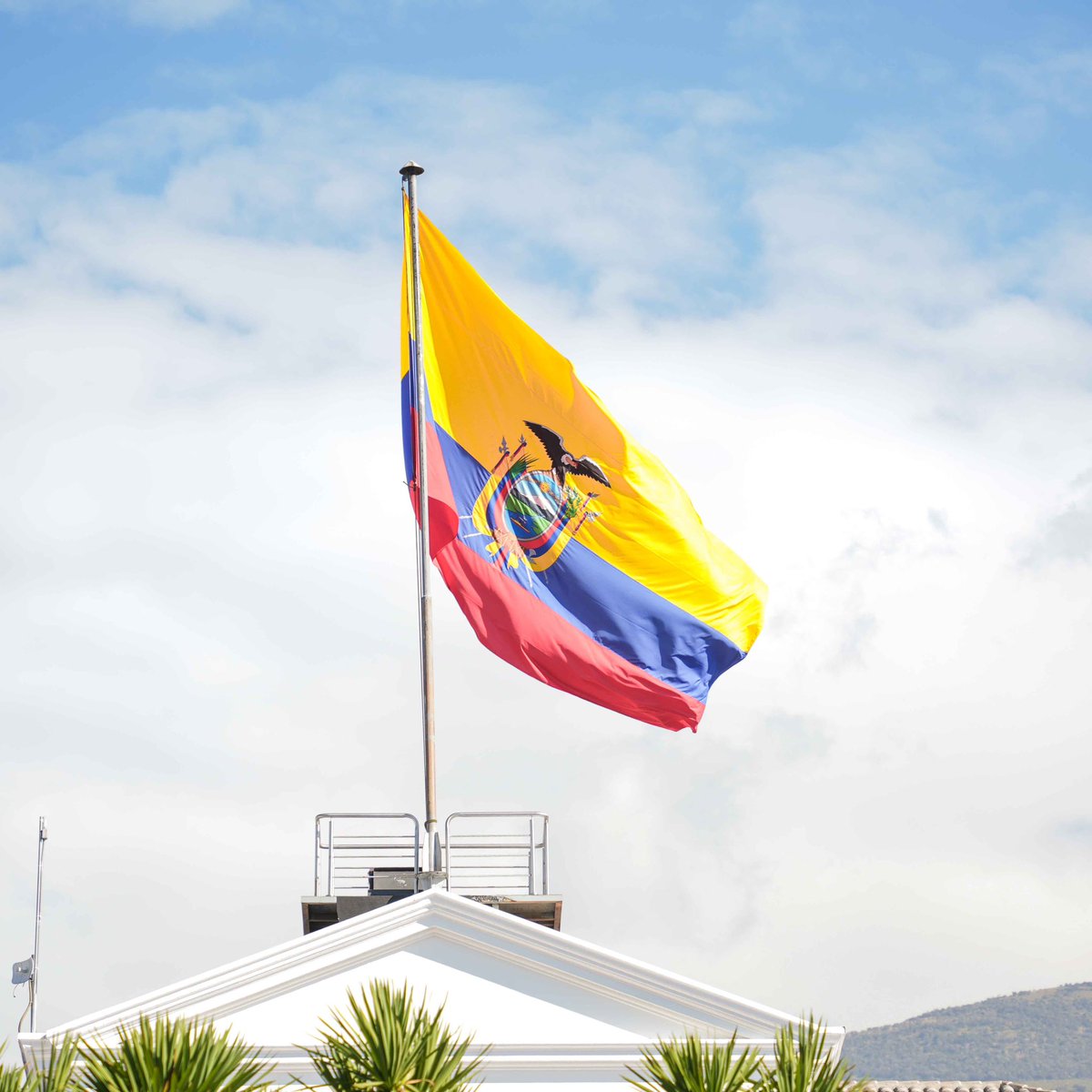 Desde cada rincón del país, las familias pedimos seguridad. Hoy marchamos #FirmesPorEcuador porque los #Jueces quitaron leyes que protegían a nuestros barrios y comunidades. No nos rendiremos.