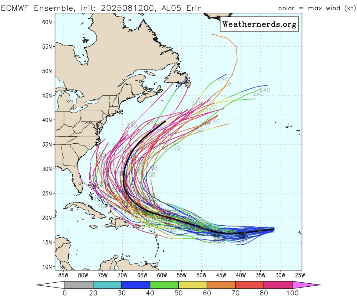HurricaneHal tweet media