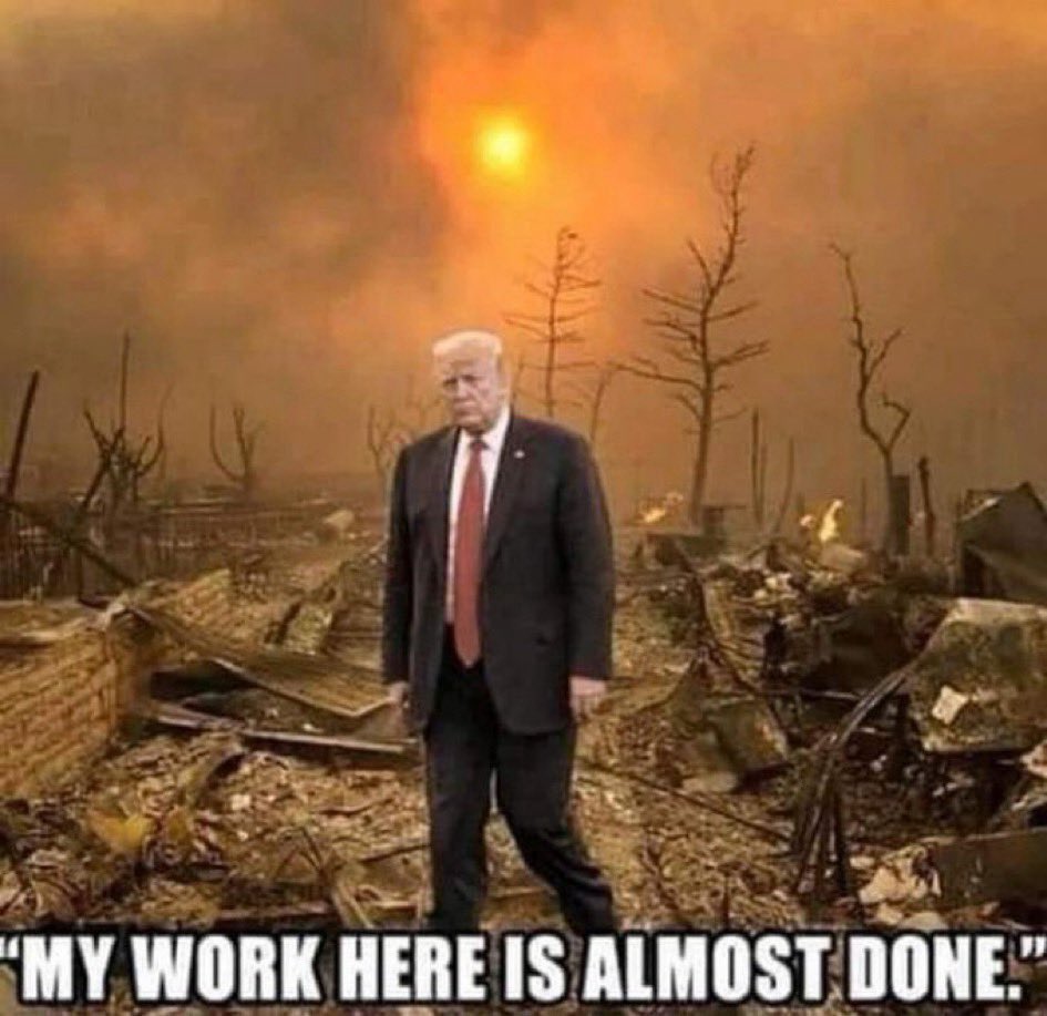 TPBlue4's tweet image. #ResignTrump 
#EpsteinTrumpFiles