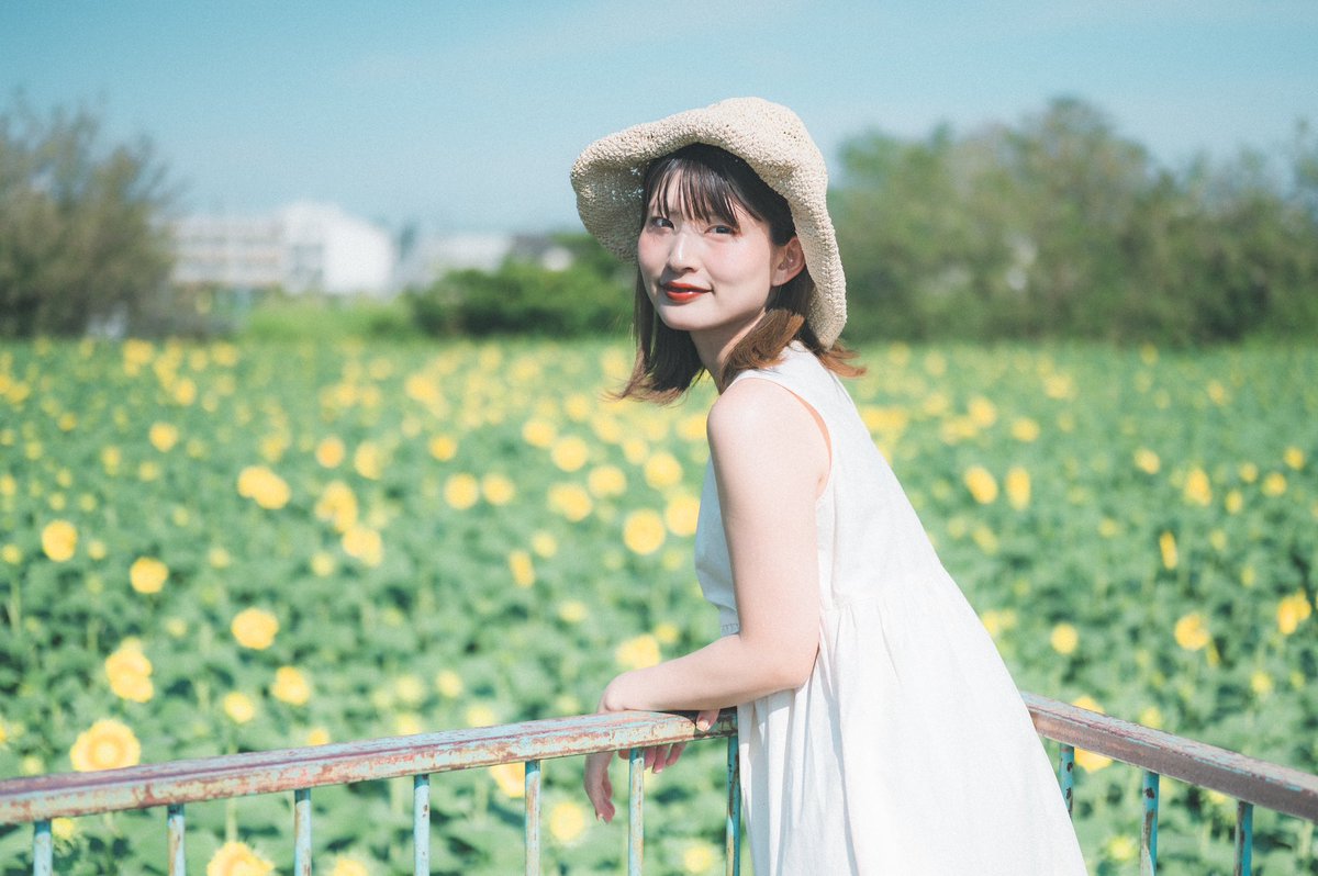 tachi_emma64's tweet photo. ひまわり畑🌻 https://t.co/UCqPtoUz2Q