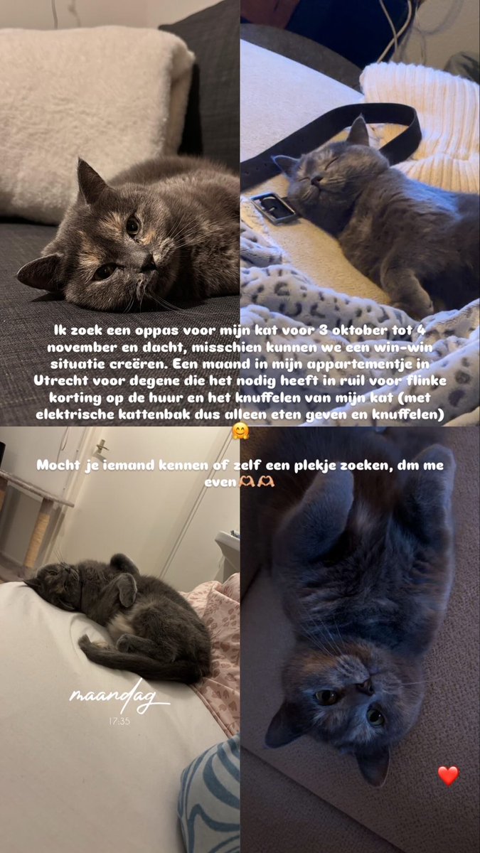 Jana😇 tweet media