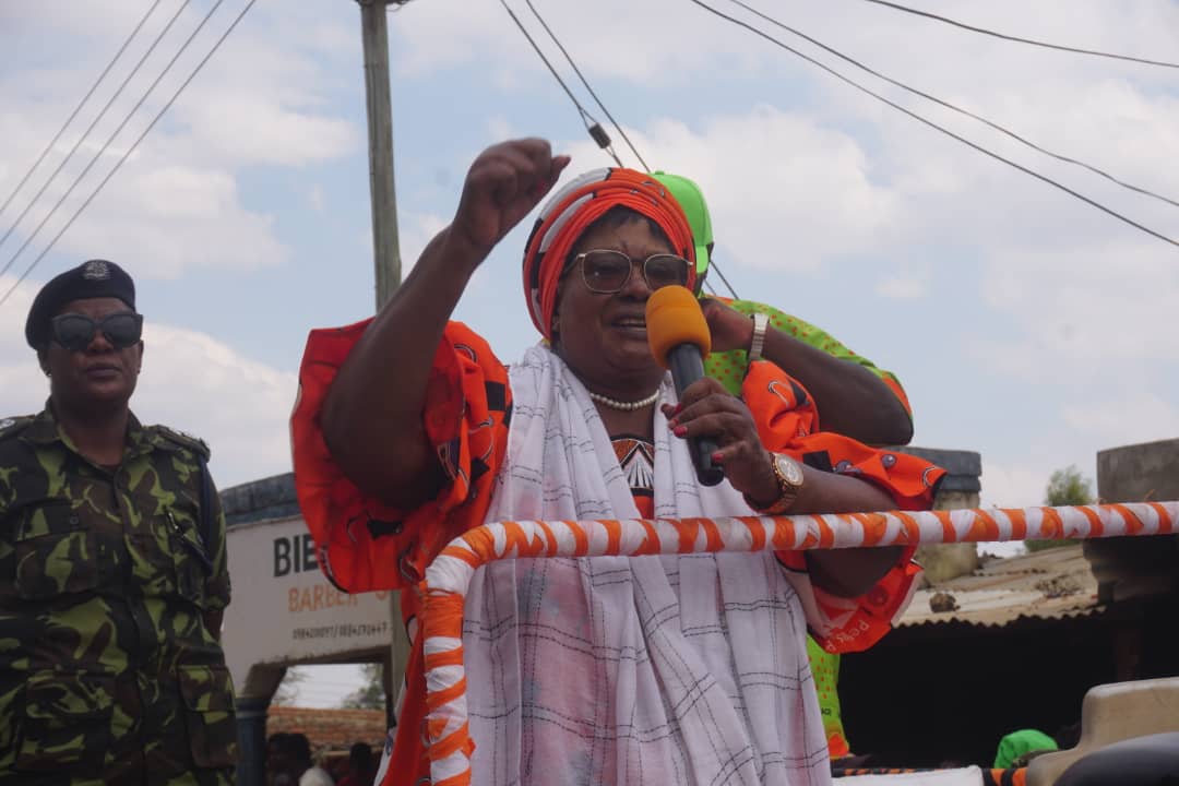 PP_Malawi's tweet photo. Dr. Banda assured the people of her govt's commitment to correcting the country's economic trajectory, ensure food sufficiency, implement youths economic empowerment programs in addition to her long term natl development plans as enshrined on the PP manifesto. https://t.co/gWAcq51DG3