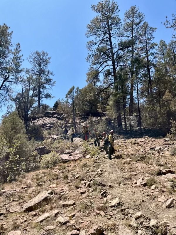 GaTrees's tweet photo. GFC #handcrew started out in Colorado on the #RimRoadFire and has since been dispatched to New Mexico to help contain the #MiddleMesaFire. Stay safe and we'll see you soon! #wildfire https://t.co/PPslwJRcBt