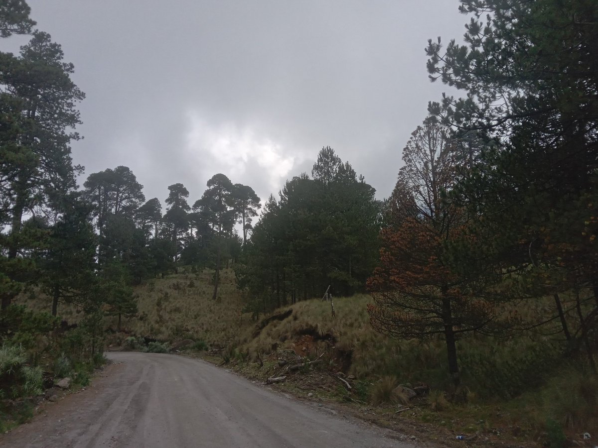 dennys_misael's tweet photo. Nevado de Toluca https://t.co/IY4pzLexHQ