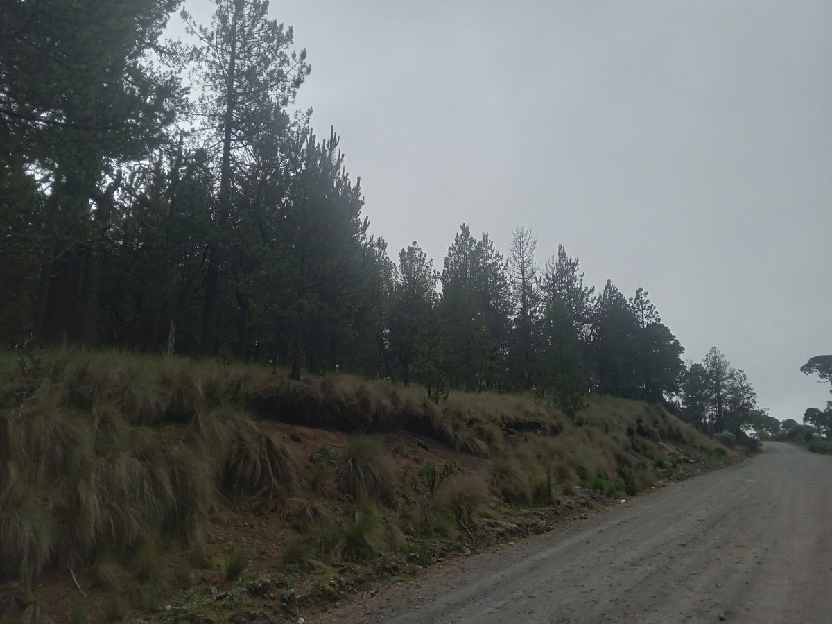 dennys_misael's tweet photo. Nevado de Toluca https://t.co/IY4pzLexHQ