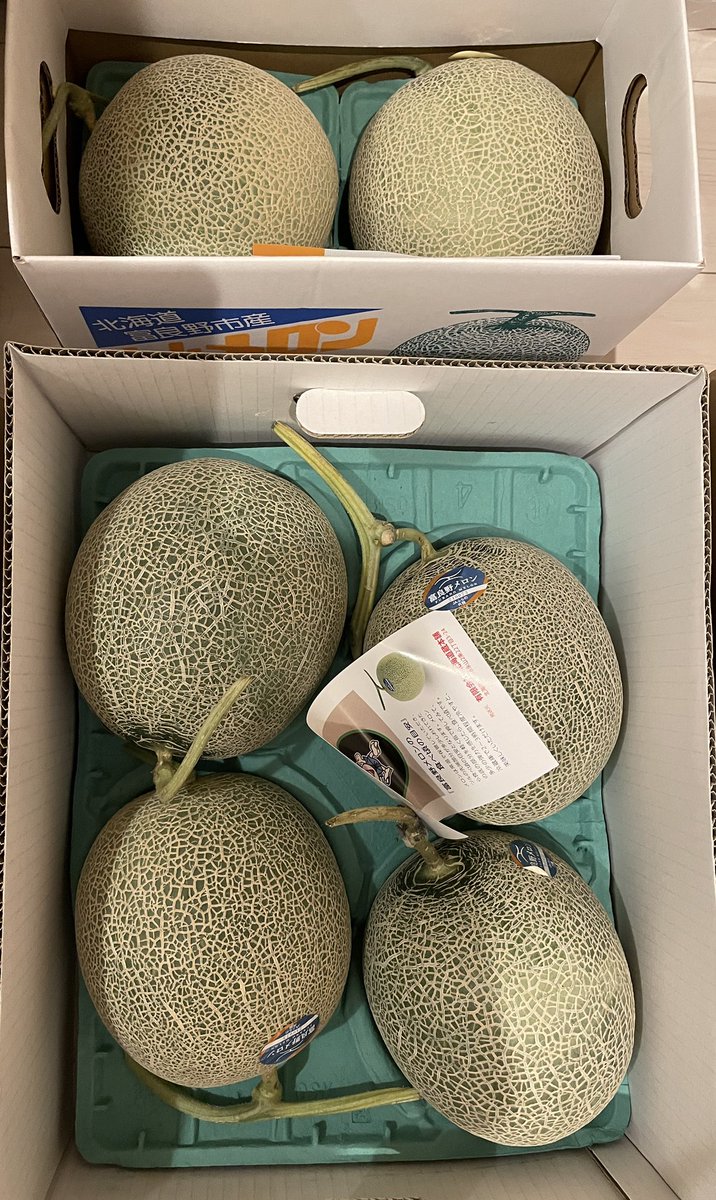 PF_512_S_Modulo's tweet image. 北の国からメロンをいただきました🍈
おまけでふるさと納税のメロンまで来ました。1人でメロン6個！幸せ🥰
毎日桃とメロンのループ😋